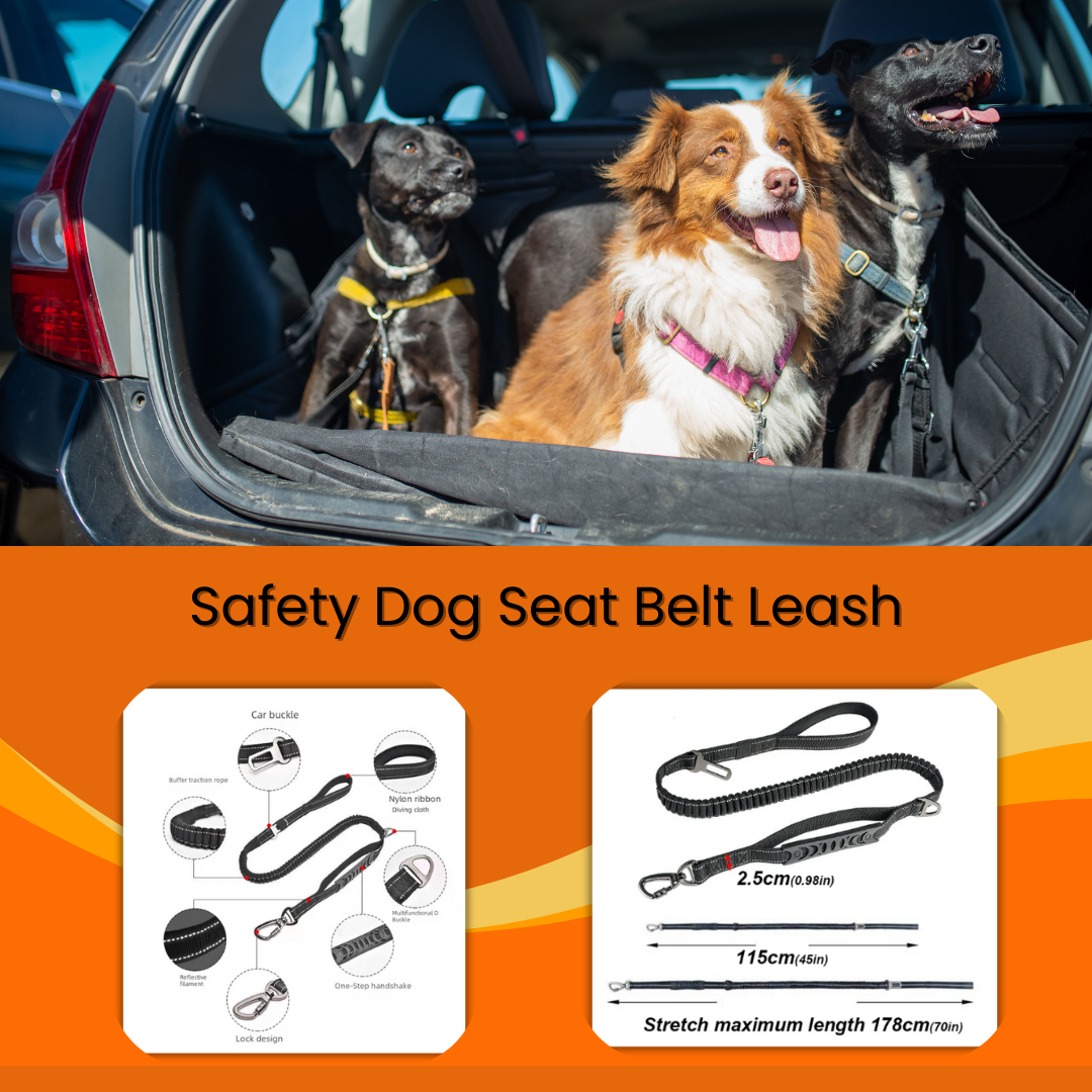 Safety Dog Car Seat Belt Leash