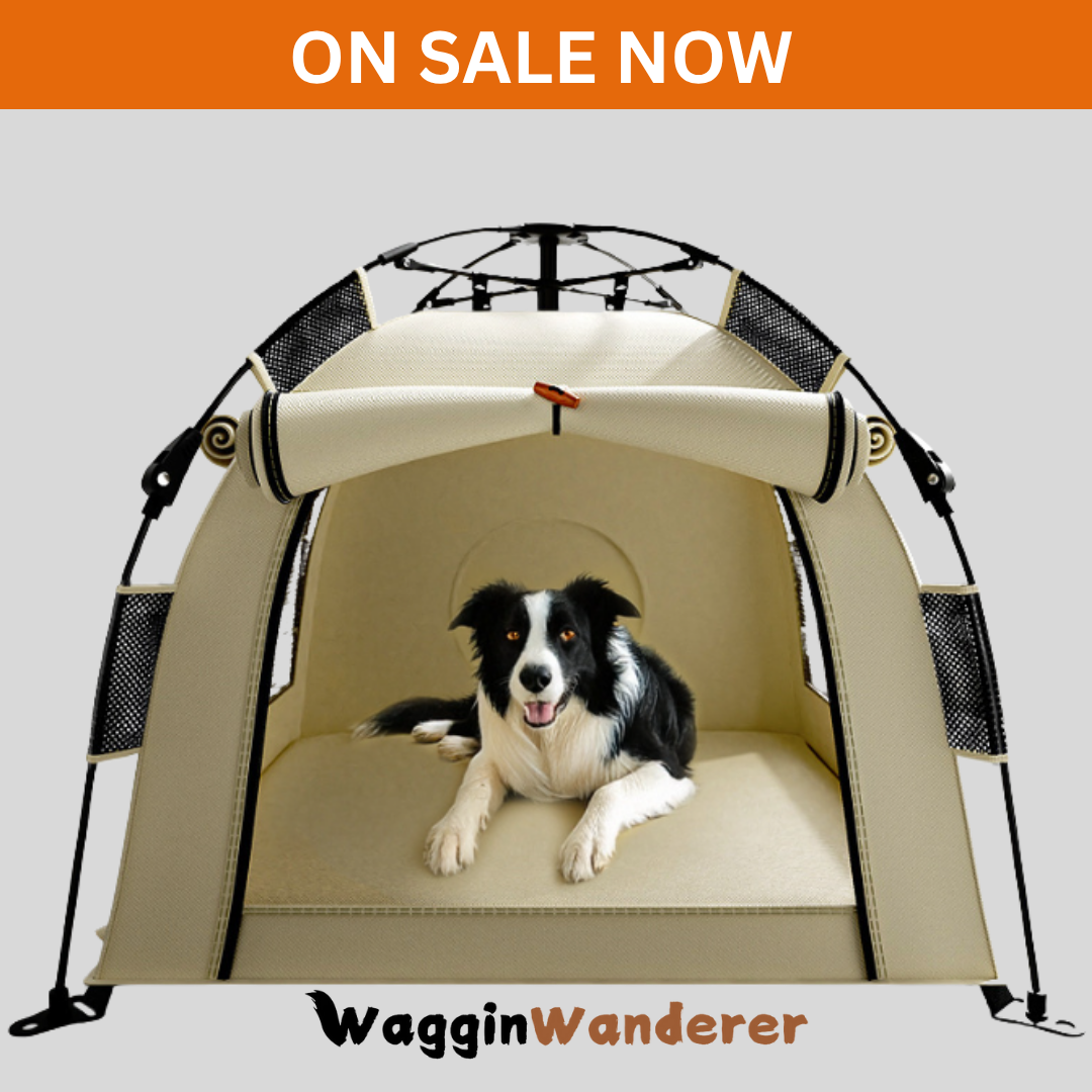 Waggin Wanderer Outdoor Pop Up Dog Tent