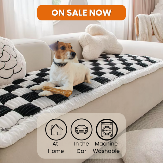 Deluxe Pet Couch Cushion