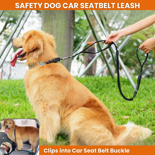 Safety Dog Car Seat Belt Leash